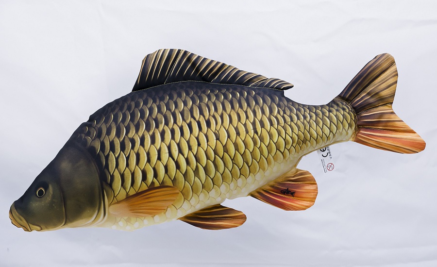 Polštář Kapr šupináč 65cm