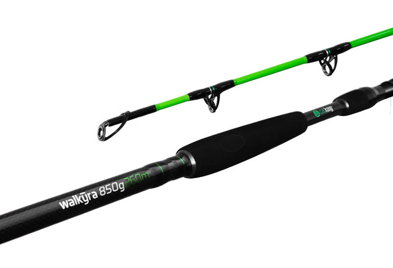 Delphin WALKYRA 260cm/850g